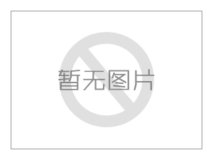 中越两条出入境通道临时开放客运功能 口岸的“通”与“便”推动货畅其流